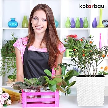 鉢 21cm 楽天市場】植木鉢 おしゃれ 横縞 キューブ型 素焼き鉢